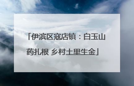 伊滨区寇店镇：白玉山药扎根 乡村土里生金
