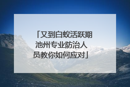 又到白蚁活跃期 池州专业防治人员教你如何应对