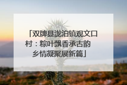 双牌县泷泊镇观文口村：粽叶飘香承古韵 乡情凝聚展新篇