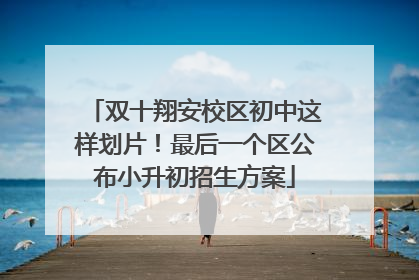 双十翔安校区初中这样划片！最后一个区公布小升初招生方案