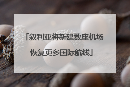 叙利亚将新建数座机场 恢复更多国际航线