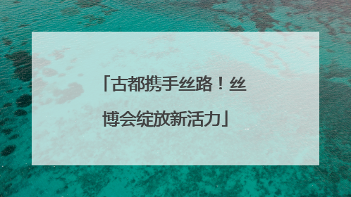 古都携手丝路！丝博会绽放新活力
