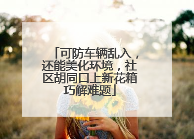 可防车辆乱入，还能美化环境，社区胡同口上新花箱巧解难题