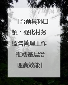 台前县孙口镇：强化村务监督管理工作 推动基层治理高效能
