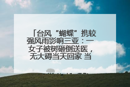 台风“蝴蝶”携较强风雨影响三亚：一女子被树砸倒送医，无大碍当天回家 当地已紧急清障