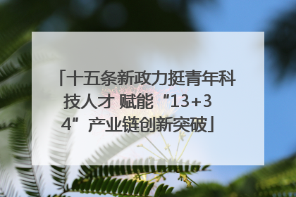 十五条新政力挺青年科技人才 赋能“13+34”产业链创新突破