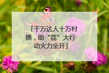 千万达人十万村播，助“荔”大行动火力全开