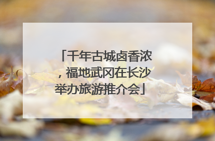 千年古城卤香浓，福地武冈在长沙举办旅游推介会