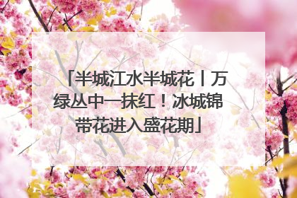 半城江水半城花丨万绿丛中一抹红！冰城锦带花进入盛花期