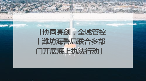 协同亮剑，全域管控丨潍坊海警局联合多部门开展海上执法行动