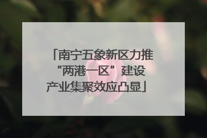 南宁五象新区力推“两港一区”建设 产业集聚效应凸显