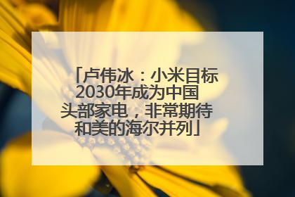 卢伟冰：小米目标2030年成为中国头部家电，非常期待和美的海尔并列