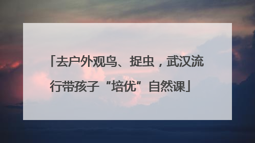 去户外观鸟、捉虫，武汉流行带孩子“培优”自然课