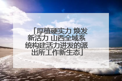 厚植硬实力 焕发新活力 山西全域系统构建活力迸发的派出所工作新生态