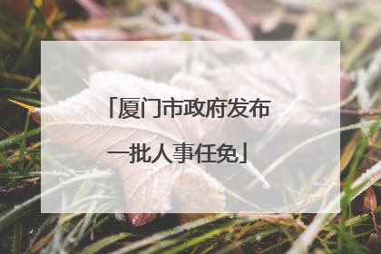 厦门市政府发布一批人事任免