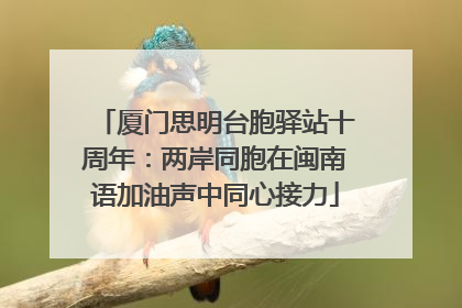 厦门思明台胞驿站十周年：两岸同胞在闽南语加油声中同心接力