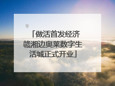 做活首发经济 赣湘边奥莱数字生活城正式开业