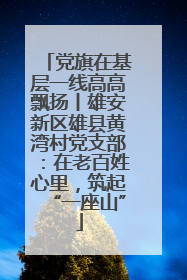 党旗在基层一线高高飘扬丨雄安新区雄县黄湾村党支部：在老百姓心里，筑起“一座山”