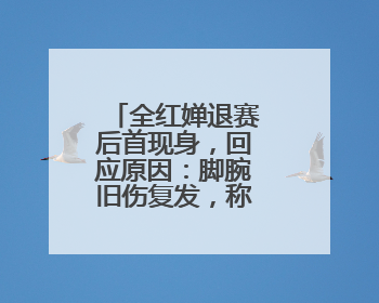 全红婵退赛后首现身，回应原因：脚腕旧伤复发，称最近挺好的
