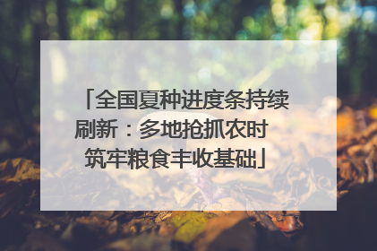 全国夏种进度条持续刷新：多地抢抓农时 筑牢粮食丰收基础