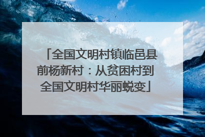 全国文明村镇临邑县前杨新村：从贫困村到全国文明村华丽蜕变