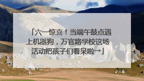 六一惊喜！当端午鼓点遇上机器狗，万官路学校这场活动把孩子们看呆啦→