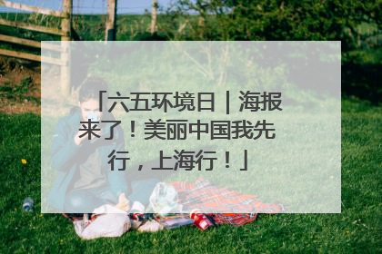 六五环境日｜海报来了！美丽中国我先行，上海行！