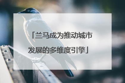 兰马成为推动城市发展的多维度引擎