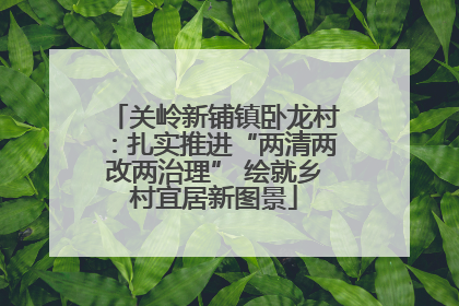 关岭新铺镇卧龙村：扎实推进“两清两改两治理” 绘就乡村宜居新图景