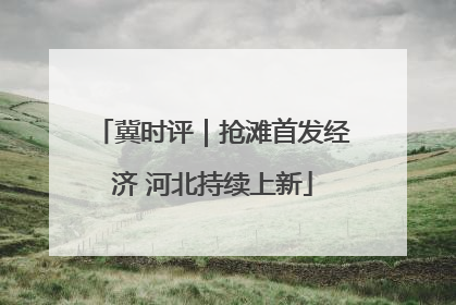 冀时评｜抢滩首发经济 河北持续上新