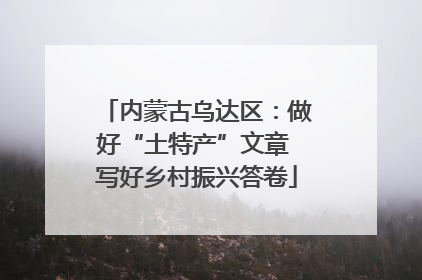 内蒙古乌达区：做好“土特产”文章 写好乡村振兴答卷
