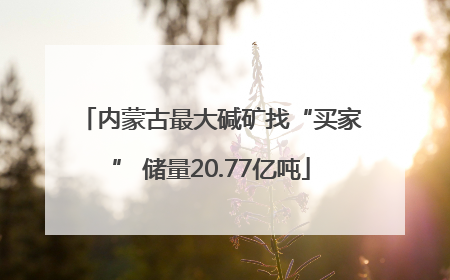 内蒙古最大碱矿找“买家” 储量20.77亿吨
