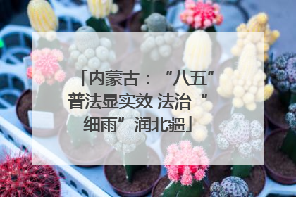 内蒙古：“八五”普法显实效 法治“细雨”润北疆