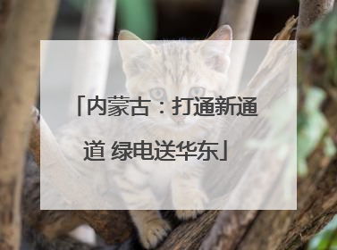 内蒙古：打通新通道 绿电送华东