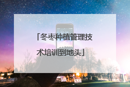 冬枣种植管理技术培训到地头