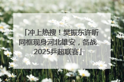 冲上热搜！樊振东许昕同框现身河北雄安，备战2025乒超联赛