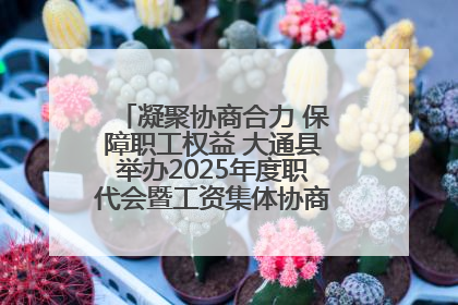凝聚协商合力 保障职工权益 大通县举办2025年度职代会暨工资集体协商现场观摩交流活动