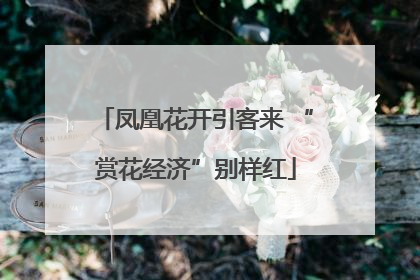 凤凰花开引客来 “赏花经济”别样红