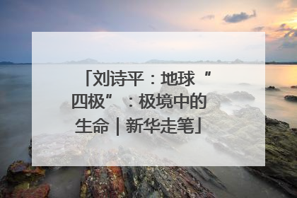 刘诗平：地球“四极”：极境中的生命｜新华走笔