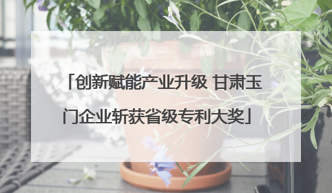 创新赋能产业升级 甘肃玉门企业斩获省级专利大奖