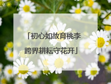 初心如故育桃李 跨界耕耘守花开