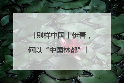 别样中国丨伊春，何以“中国林都”