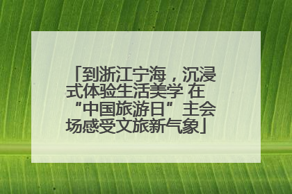 到浙江宁海，沉浸式体验生活美学 在“中国旅游日”主会场感受文旅新气象