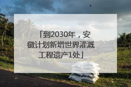 到2030年，安徽计划新增世界灌溉工程遗产1处
