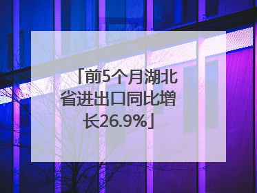 前5个月湖北省进出口同比增长26.9%