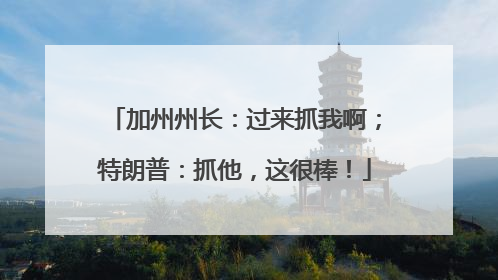 加州州长：过来抓我啊；特朗普：抓他，这很棒！