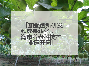 加强创新研发和成果转化，上海市养老科技产业园开园