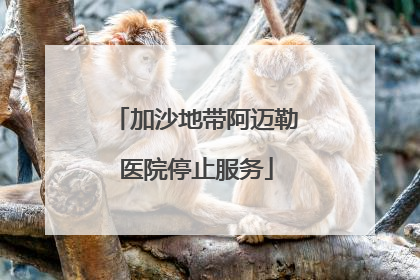 加沙地带阿迈勒医院停止服务