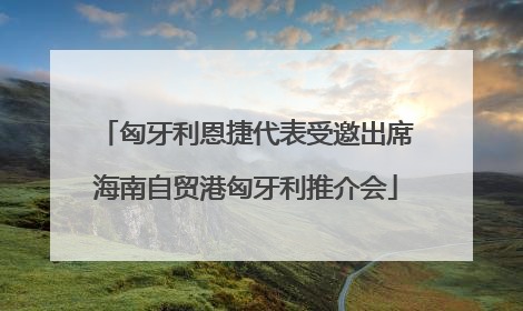 匈牙利恩捷代表受邀出席海南自贸港匈牙利推介会