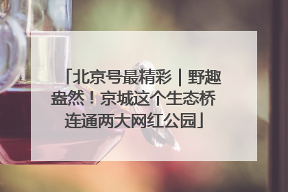 北京号最精彩｜野趣盎然！京城这个生态桥连通两大网红公园